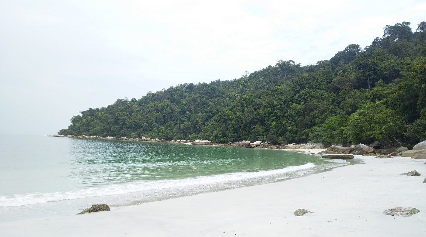 Chapter 5: Dschungelfeeling auf Pangkor Island cover image
